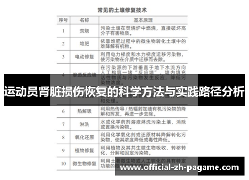 运动员肾脏损伤恢复的科学方法与实践路径分析
