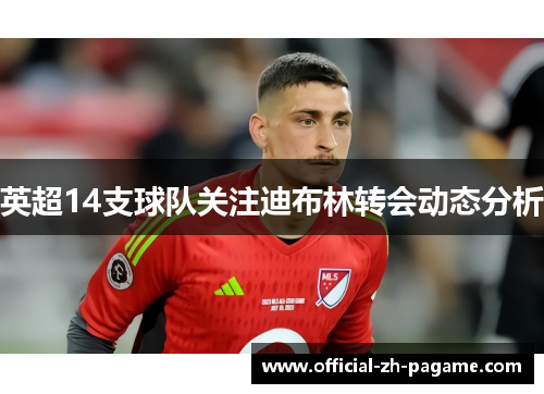 英超14支球队关注迪布林转会动态分析