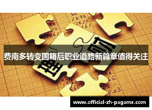 费南多转变国籍后职业道路新篇章值得关注