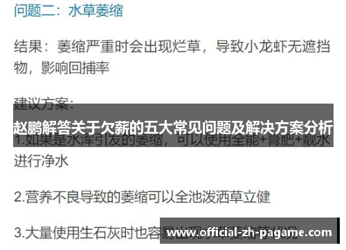 赵鹏解答关于欠薪的五大常见问题及解决方案分析