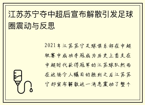 江苏苏宁夺中超后宣布解散引发足球圈震动与反思